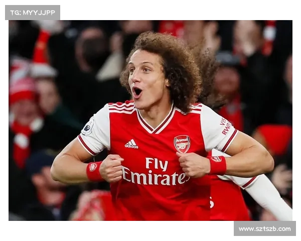 大卫路易斯的足球位置解析及其在防线中的关键角色