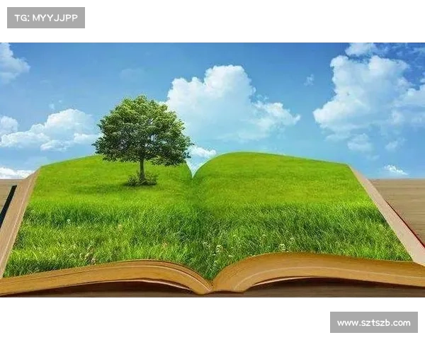 成功足球俱乐部财务管理的五大核心原则与实践指南