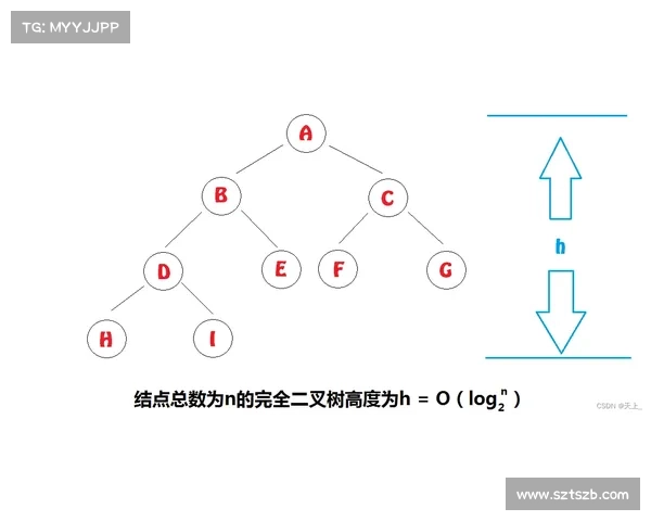 打破女子60米栏纪录的五大关键因素探析与突破路径