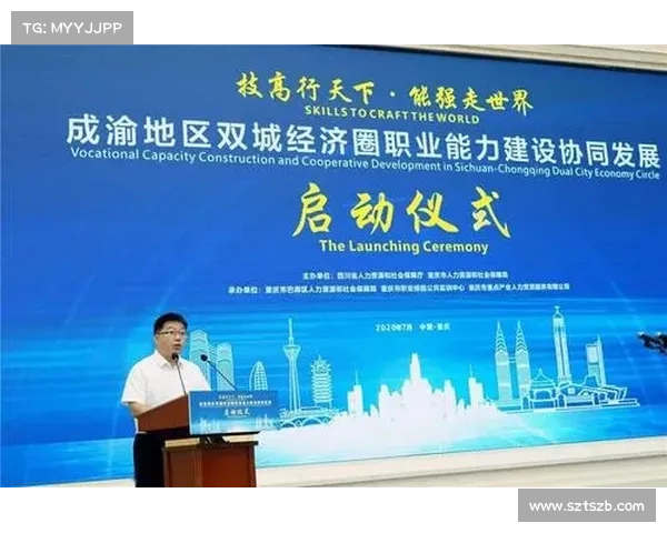 推动双城经济协同发展策略探索与实践路径分析